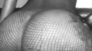 Twerking round ass in fish nets